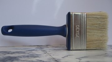 A paintbrush removes mold and mildew sitting on the surface of clothing.