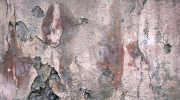 The uneven look of textured paints disguises imperfections.