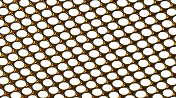 Wire mesh