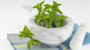 Mint, catnip and orange oils are worth a try in termite control.