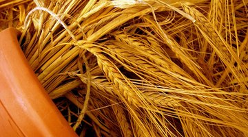 Barley straw is one of the oldest home remedies for controlling algae.