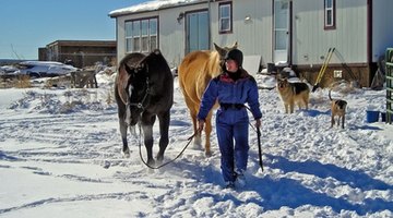 Updating to two-pane windows may be necessary in an older mobile home.