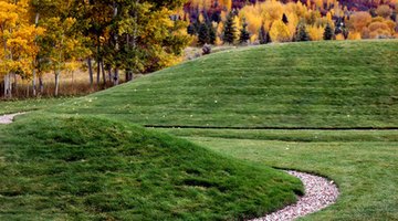 Berms are effective landscape elements.
