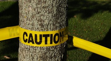 Always call 811 before you dig.