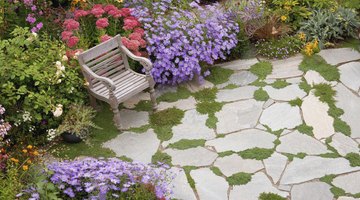 A garden and bench.