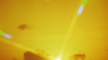 Sunshine is a natural, effective mold killer.