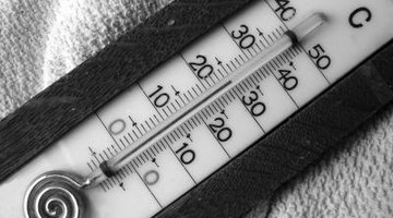 Safety Considerations