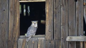 Many barn windows can be left open or without glass.