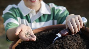 When you plant the seeds, record the expected maturity date.