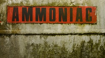 Ammonia also neutralizes acids.