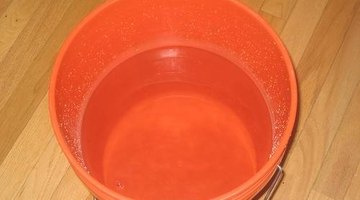 Bucket of Water