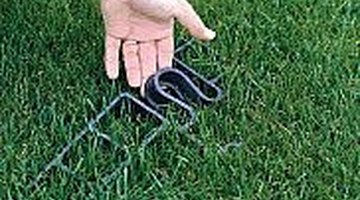 Lawns can support the weight of cars when built right.