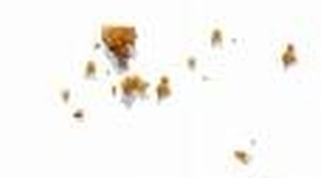 Crumbs attract insects