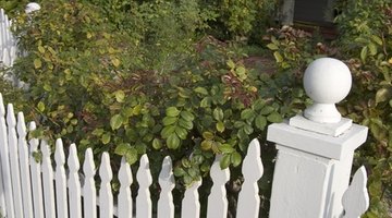 Finials attached to gateposts are particularly attractive.