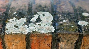 Spilled grout can cause big problems.